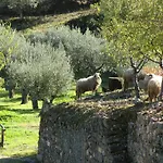 Quinta Aveleiras Torre De Moncorvo