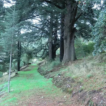 金塔阿伟蕾拉农家乐 * 托里－迪蒙科尔武