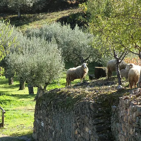 Quinta Aveleiras Torre De Moncorvo
