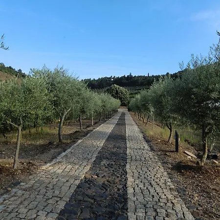 Quinta Das Aveleiras