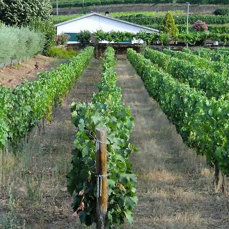 Quinta Aveleiras Torre De Moncorvo