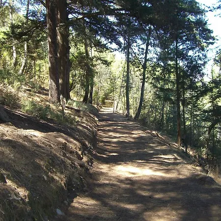 农家乐 金塔阿伟蕾拉农家乐 托里－迪蒙科尔武