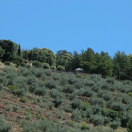 Bauernhof Quinta Aveleiras