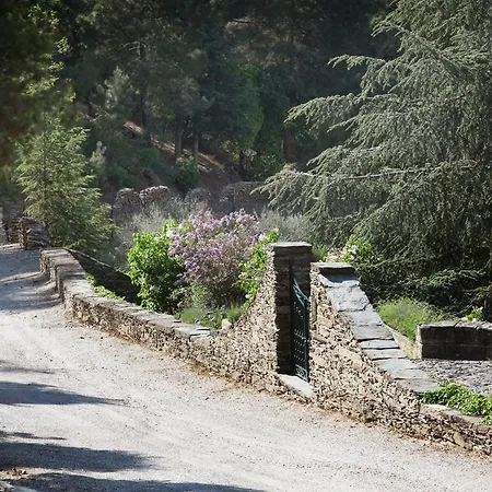 农家乐 金塔阿伟蕾拉农家乐 *