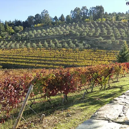 金塔阿伟蕾拉农家乐 托里－迪蒙科尔武