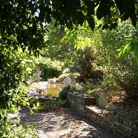 Quinta Aveleiras Torre De Moncorvo