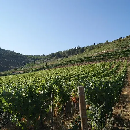 Bauernhof Quinta Aveleiras