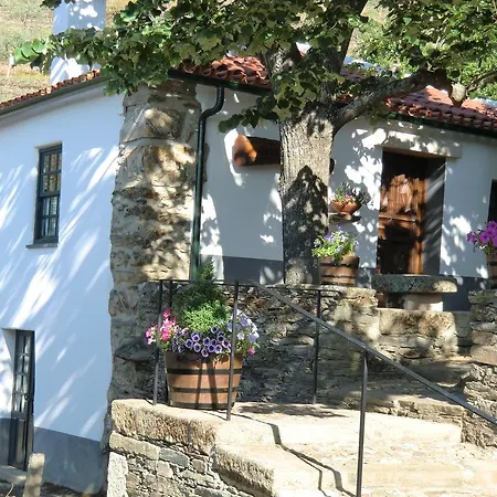 金塔阿伟蕾拉农家乐 农家乐