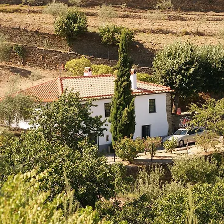 金塔阿伟蕾拉农家乐 农家乐