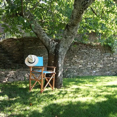 金塔阿伟蕾拉农家乐 农家乐 *