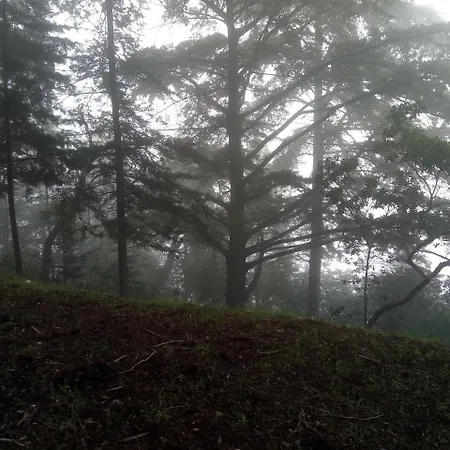 Quinta Aveleiras Bauernhof