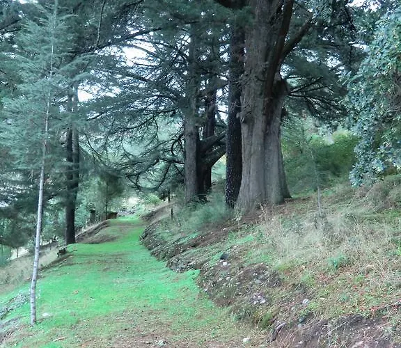 Quinta Aveleiras * 토레드몽코보