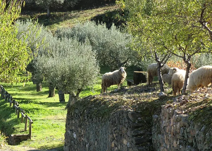 Quinta Aveleiras 토레드몽코보