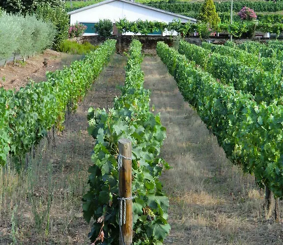 Quinta Aveleiras 토레드몽코보