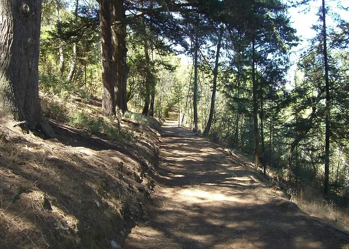 팜스테이 Quinta Aveleiras 토레드몽코보