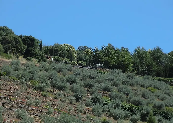 팜스테이 Quinta Aveleiras