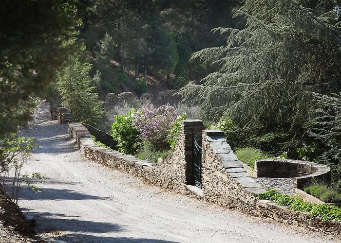 팜스테이 Quinta Aveleiras *