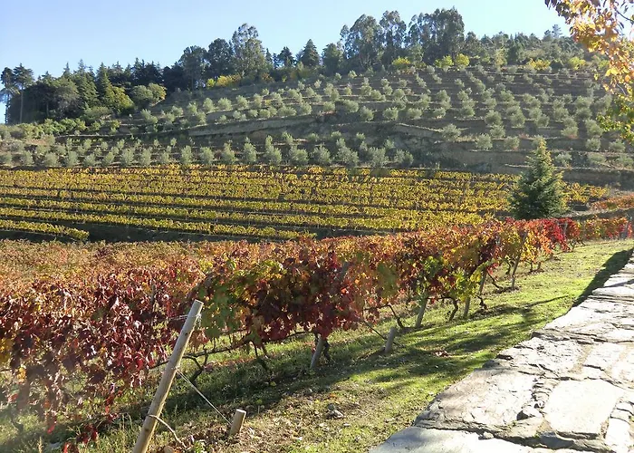 Quinta Aveleiras 토레드몽코보