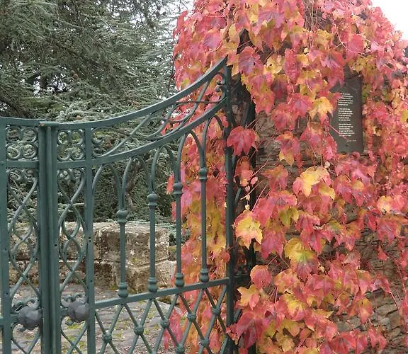 팜스테이 Quinta Aveleiras 토레드몽코보