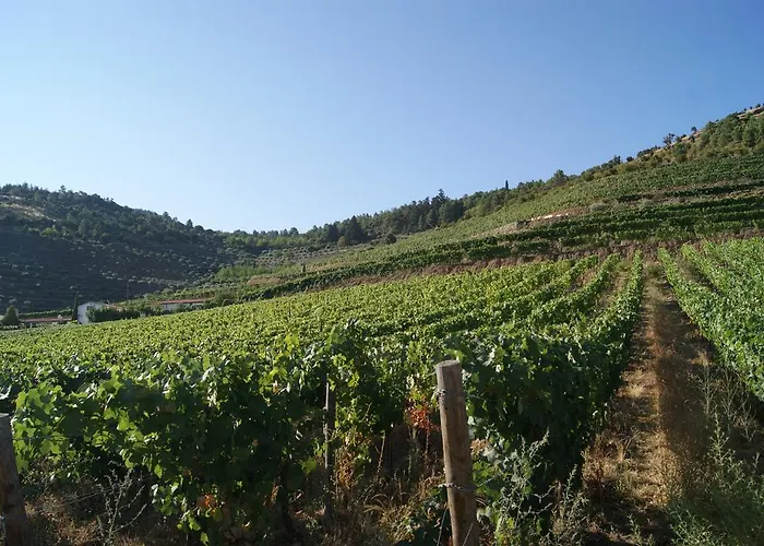 农家乐 金塔阿伟蕾拉农家乐