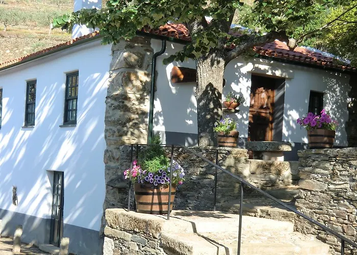 金塔阿伟蕾拉农家乐 农家乐