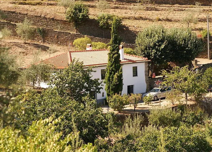 金塔阿伟蕾拉农家乐 农家乐