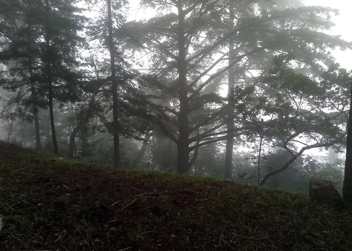 Quinta Aveleiras 팜스테이